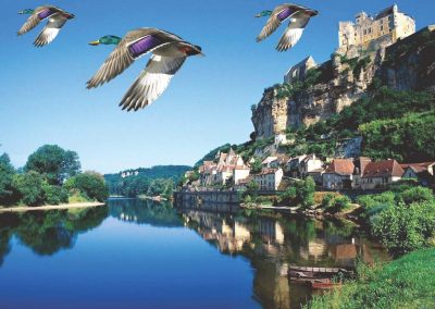 Paisaje_patos